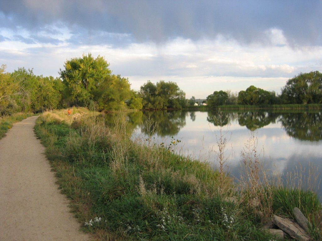 Twin Lakes In Gunbarrel And The Great Horned Owl